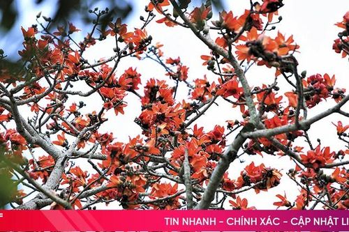 Đi dọc tháng Ba