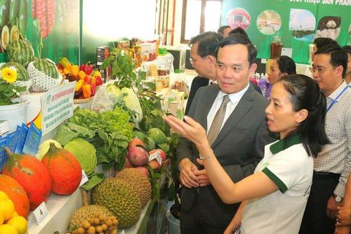 Đắk Nông đón nhiều dự án đầu tư với số vốn hàng nghìn tỷ đồng