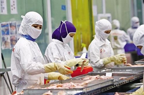 Cần chính sách hỗ trợ doanh nghiệp theo hướng từ kiểm soát sang kiến tạo