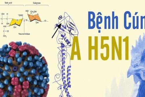 Ca nhiễm cúm A/H5N1 đầu tiên trong năm tử vong sau 12 ngày phát bệnh