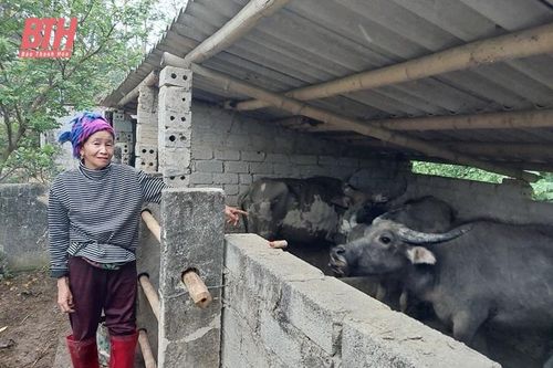Đa dạng hóa sinh kế giảm nghèo