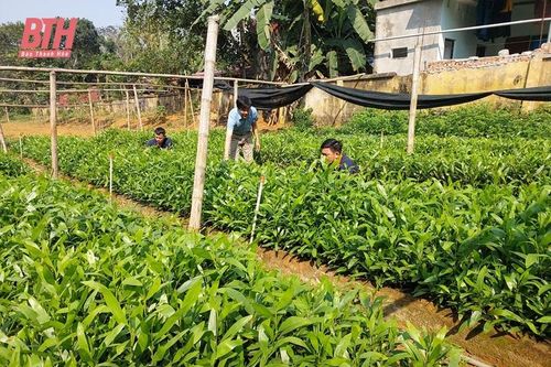 Bảo vệ gắn với phát triển rừng hiệu quả tại Ban Quản lý rừng phòng hộ Lang Chánh