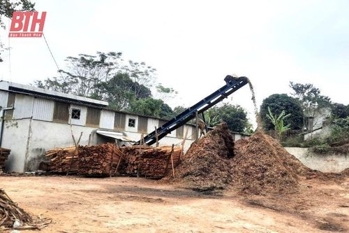 Kết quả xử lý xưởng băm keo trái phép sau phản ánh của Báo Thanh Hóa