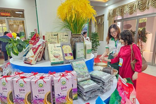 Nâng tầm thương hiệu gạo An Giang