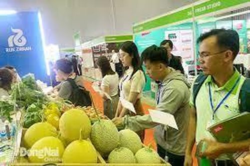 Bà Bùi Vân Kiều, Giám đốc điều hành Công ty TNHH Addicon Logistics Management: Giải pháp nâng cao chuỗi cung ứng xuất khẩu trái cây tươi