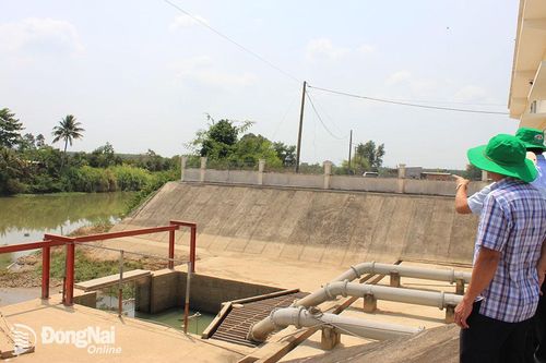 Nông nghiệp thích ứng với nắng nóng, khô hạn