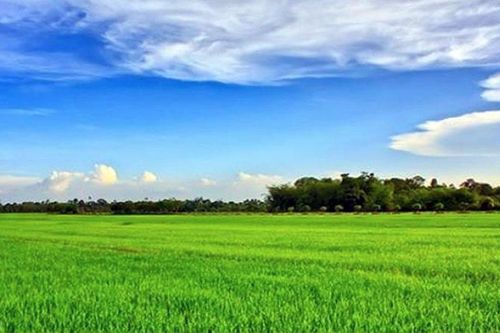 Rét lộc tháng Hai