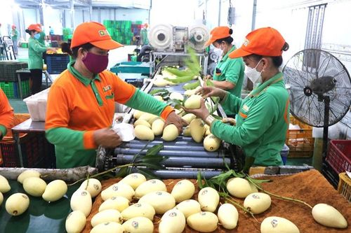 Huyện Cao Lãnh quan tâm nâng cao chuỗi giá trị các ngành hàng chủ lực