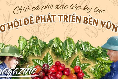 E-magazine Giá cà phê xác lập kỷ lục: Cơ hội để phát triển bền vững