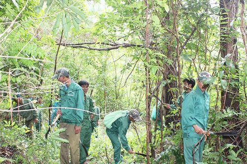 Giao rừng cho người dân và cộng đồng quản lý, bảo vệ: Nhiều khó khăn, vướng mắc