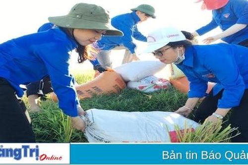 Những 'thủ lĩnh' đoàn năng động