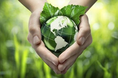 Tín hiệu tích cực từ các hoạt động ứng phó BĐKH