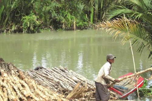 Nhọc nhằn đời phu tràm