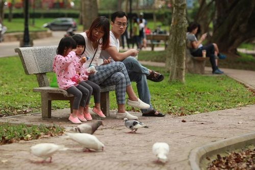 Đẩy nhanh xây dựng, cải tạo công viên, vườn hoa