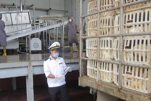Vẫn thường trực nỗi lo thịt ngoại