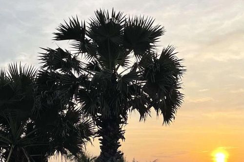 Nhớ lại tuổi hồng
