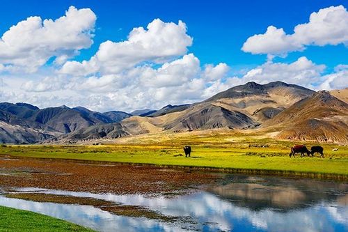 Kỳ lạ vùng đất có 'báu vật' ngàn đô, nhưng không một bóng cây xanh