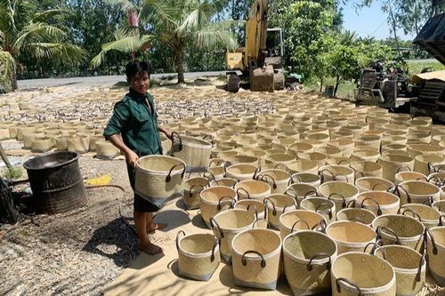 Khởi nghiệp xanh, xu thế đang lớn dần