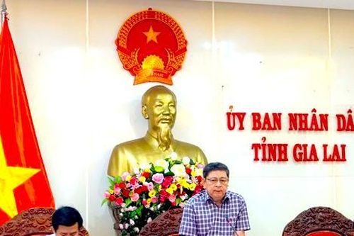 Chánh văn phòng UBND tỉnh Gia Lai xin nghỉ hưu trước tuổi