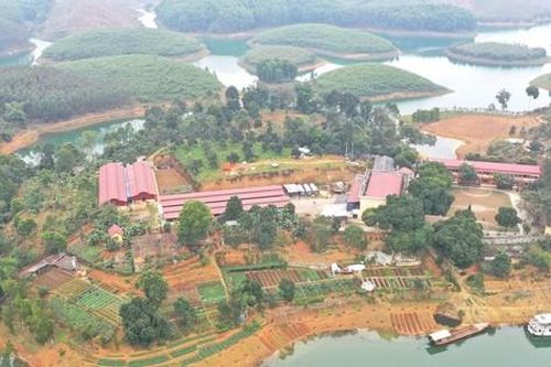 Vào nơi cai nghiện ma túy giữa lòng hồ Thác Bà