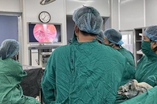 Cứu sống sản phụ mắc chứng 'chửa góc sừng' nguy hiểm