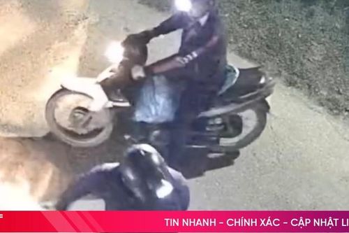 Camera ghi cảnh 2 đối tượng bắt trộm chó ở Hương Khê