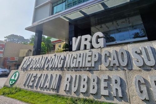 Khu công nghiệp Nam Tân Uyên 3 của Cao su Việt Nam có thể cho thuê vào cuối năm 2024