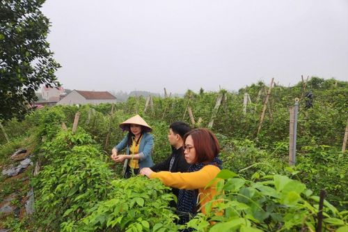 Bài 1: Xác lập quyền sở hữu trí tuệ cho các sản phẩm chủ lực