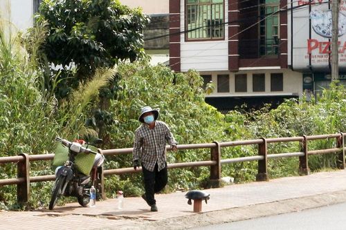 Hãy đối xử tử tế với động vật