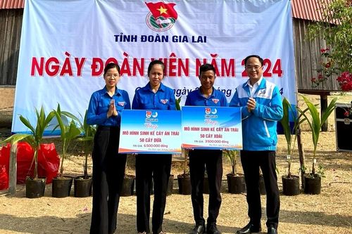 Gia Lai: Sôi nổi các hoạt động trong 'Ngày đoàn viên' năm 2024