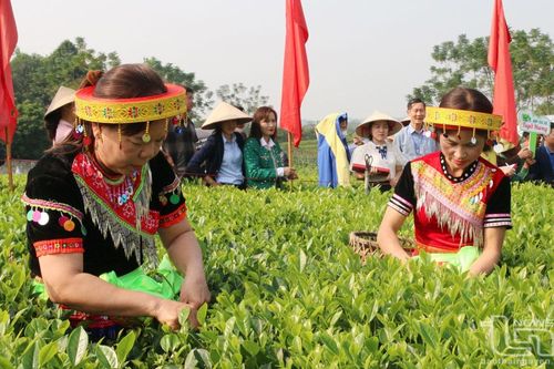 Huyện nông thôn mới Đồng Hỷ: Đích đến không còn xa