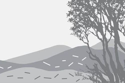 Bóng nắng
