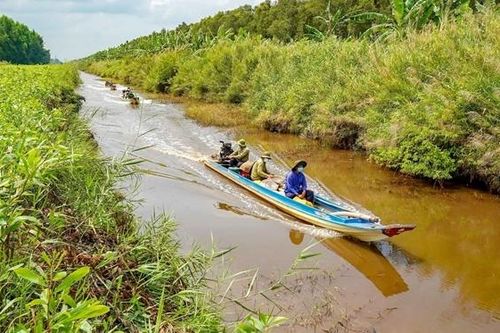 Báo động sạt lở bờ sông, bờ biển ở Cà Mau