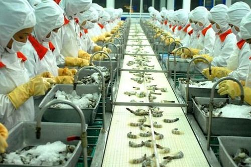 CJ Cầu Tre tự nguyện thu hồi loạt sản phẩm xuất khẩu