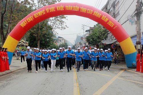 Hơn 2.000 người tham gia 'Ngày chạy Olympic vì sức khỏe toàn dân'