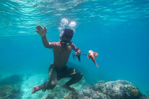 Bộ tộc sống cả đời trên biển, có khả năng lặn sâu 60m