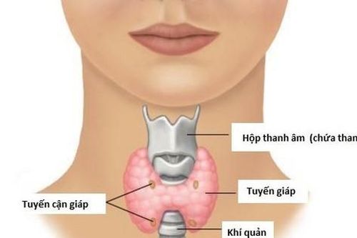 Điều trị bệnh lý tuyến giáp