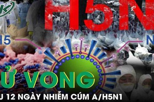 Bệnh nhân cúm A/H5N1đã tử vong, những người tiếp xúc theo dõi sức khỏe