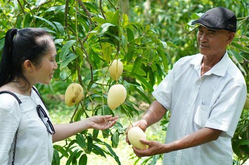 Nhật Bản viện trợ hơn 195 ngàn USD phát triển nông nghiệp ở Đồng Tháp