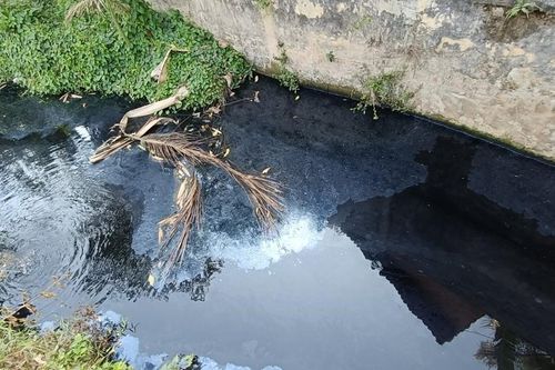 Hàng trăm hộ dân bị ảnh hưởng sức khỏe nghiêm trọng vì ô nhiễm suối nước