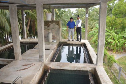 Gần 9 nghìn hécta cây trồng bị ảnh hưởng bởi xâm nhập mặn, hạn hán và thiếu nước