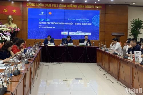 Sắp diễn ra Hội nghị phát triển bền vững nuôi biển-nhìn từ Quảng Ninh