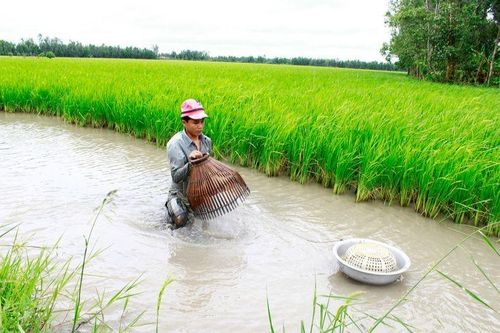 Khơi thông dòng chảy tài chính cho nông nghiệp thuận thiên