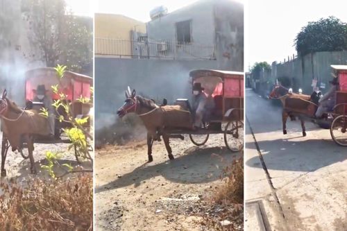 Ông lão TP.HCM tự tay chế ngựa sắt vừa kéo xe vừa nhả khói trắng trông như thật