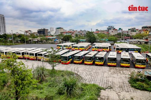 Hà Nội dừng hoạt động 5 tuyến xe buýt từ 1/4