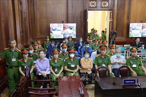 Nguyễn Cao Trí thừa nhận sai lầm do lo lắng thái quá sau khi Trương Mỹ Lan bị bắt