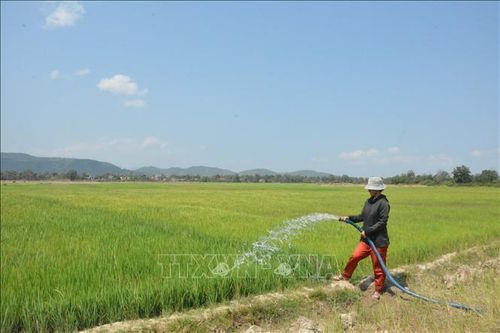 Đắk Lắk: Chủ động triển khai các biện pháp chống hạn