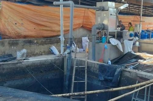 Huyện Thống Nhất, Đồng Nai: 3 người tử vong do ngạt khí ở trang trại nuôi heo