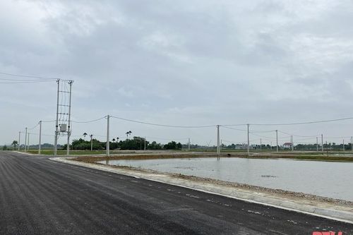 Khẩn trương thực hiện quy trình, thủ tục để đấu giá quyền sử dụng đất các dự án