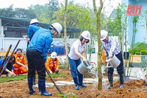 Công ty Điện lực Thanh Hóa phát động Tết trồng cây Xuân Giáp Thìn 2024